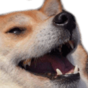 :dogLaugh: