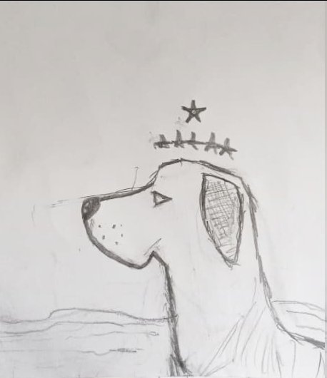 Rabisco de grafite sobre papel branco de uma cachorra de perfil que lembra vagamente um mestiço de dobermann, com uma corroa de estrelinhas flutuando sobre sua cabeça, por trás dela é possível ver uma porção d'água Rabisco de grafite sobre papel branco de uma cachorra de perfil que lembra vagamente um mestiço de dobermann, com uma corroa de estrelinhas flutuando sobre sua cabeça, por trás dela é possível ver uma porção d'água